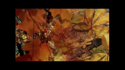 Елена Терлеева - Грустная осень 