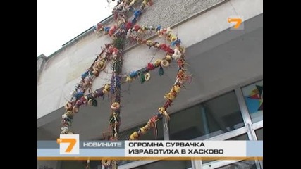 Рекордно голяма сурвачка украсиха в Хасково 