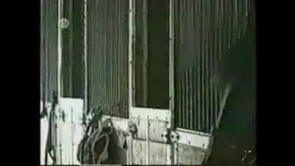 Very funny video clips