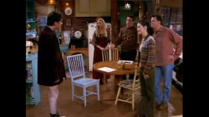 Friends S05e11 - All The Resolutions