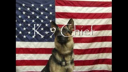 K9 tribute
