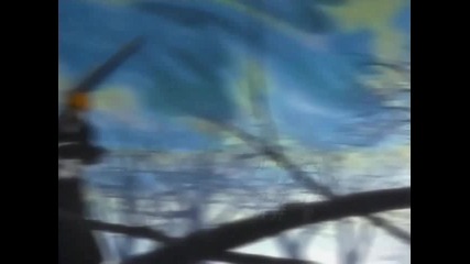 Bleach Op #3
