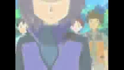 Comashipping - Love Game - Lady Gaga - Mini Amv