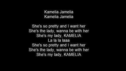 Акцент - Камелия (lyrics)