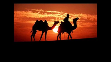dj Nickodemus - Desert Dancer (zeb #39;s Slow Camel Ride Rem 