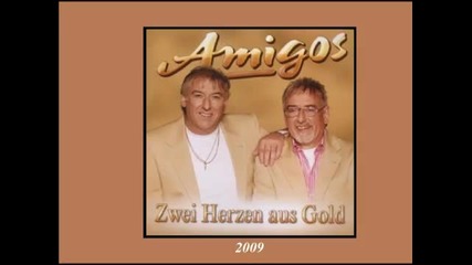 Die Amigos (1989-2011)