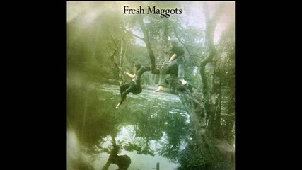 Fresh Maggots - Spring