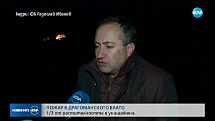Пожарът в Драгоманското блато е овладян