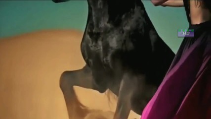 Gipsy Kings - Viento Del Arena ( H D Video)
