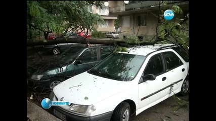 Буря в Монтана събори дърво върху движещ се автомобил