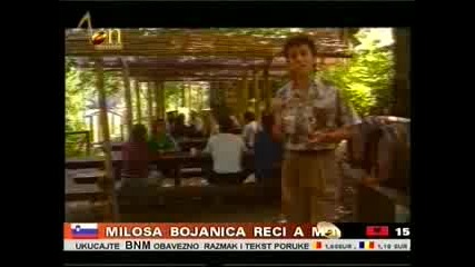 seki turkovic 