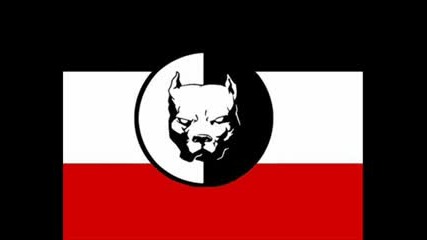 Nordfront - Jahre Der Schande
