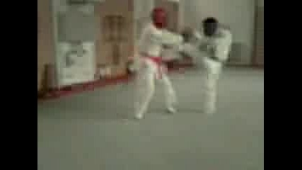 Ookami kolaj 