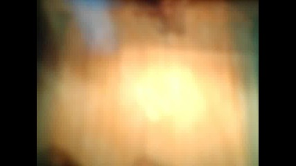 kamelia_sladoranka_20