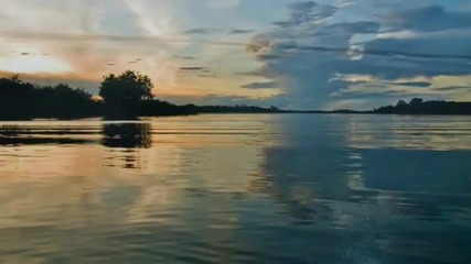 * Амазония *
