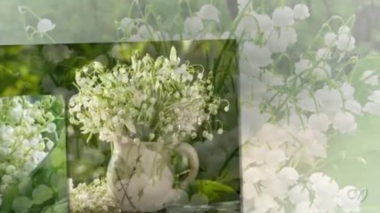 Beautiful lily of the valley - Music Sergey Grischuk