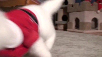 Коледна Котка 