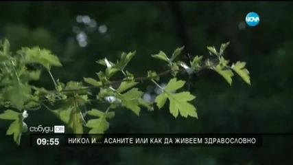Асаните или как да живеем здравословно