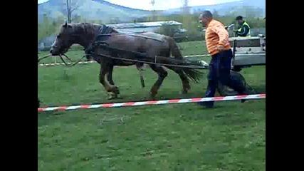 На пешо горския коня в трудовец 1ви 21.04.2012
