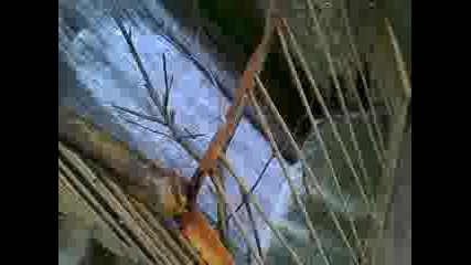 Vid_20120319_160243