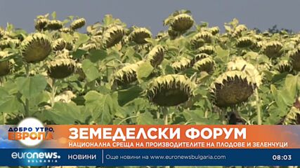 Видео - (2023-02-04 08:40:22)