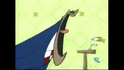 2 stupid dogs - But its Wrong 
