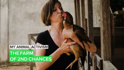 My Animal Activism: Vietnam's first and only farm sanctuary