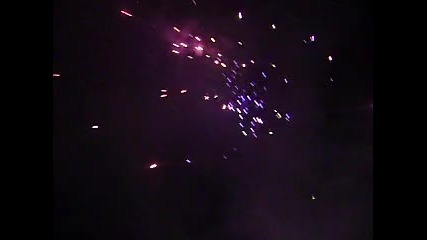 dasini chestita i uspeshna 2011godina