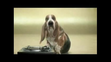 Куче Което Може Да Изпълнява Beatbox 