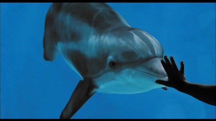 Dolphin Tale - Official Featurette [hd]