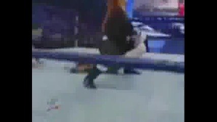 Wwe Divas - Run The Show