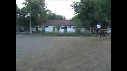 Vasal_august_2010_avi
