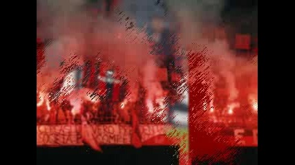 kaka