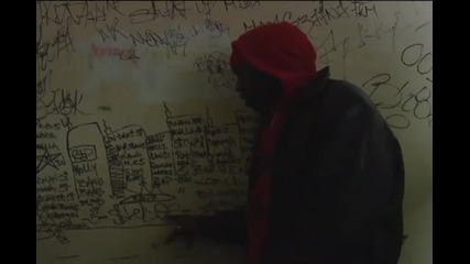 Bloods vs Crips Video Nyc Wow!