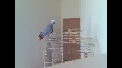 Олег