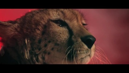 Imran Khan - Satisfya Hd (колекция Advbg )