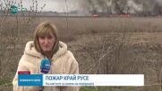 Голям пожар в защитена местност край Русе