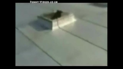 Funny 