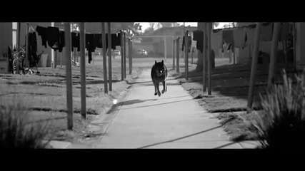 Hевероятен глас и приятна мелодия Miguel - Simple Things