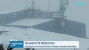 Сняг заваля в някои райони на страната