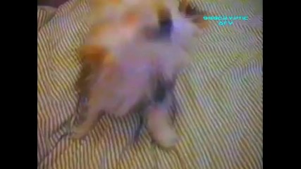 Смях от сърце!