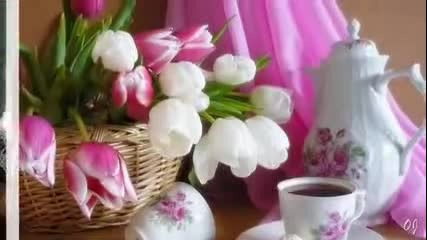 Красива мелодия