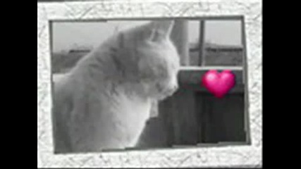 Pinka ;(.wmv