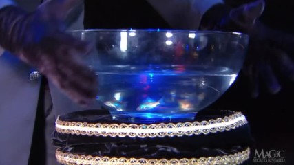 Secrets Of Houdinis Magic Fish Bowl Revealed