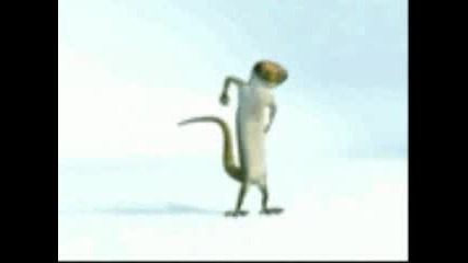 [ gecko starlight ]