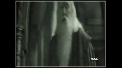 Harry Potter & Ginny Weasley-The heroes die