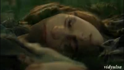 new moon - mometi 4