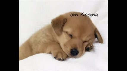 Любовта...
