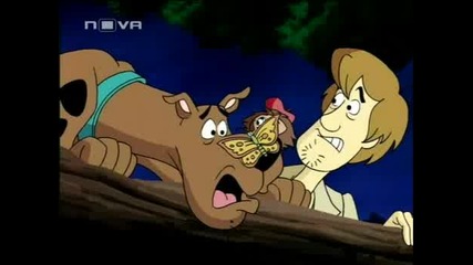 Scooby  Doo - Мистичното Сафари