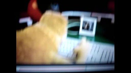 Mr. Oizo Flat Beat
